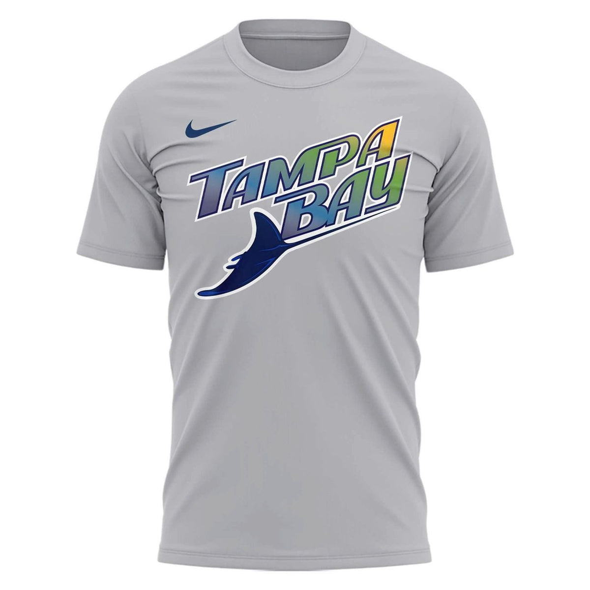 Unisex Gray Tampa Bay Rays 2026 T-shirt