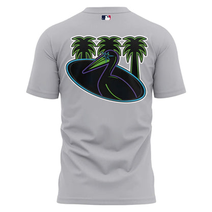 Unisex Gray Tampa Bay Rays 2026 Limited T-shirt